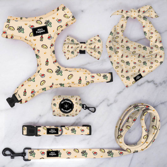 YELLOW TACO DOG HARNESS AND LEAD SET